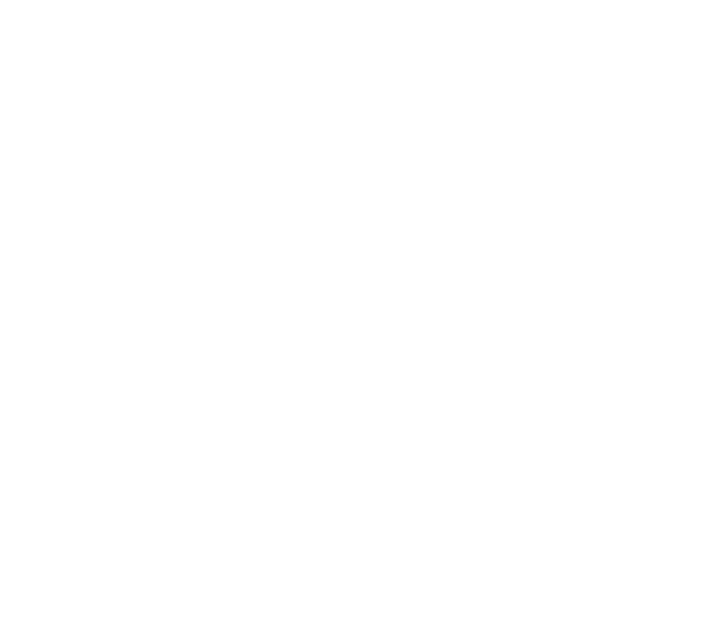 Team REV